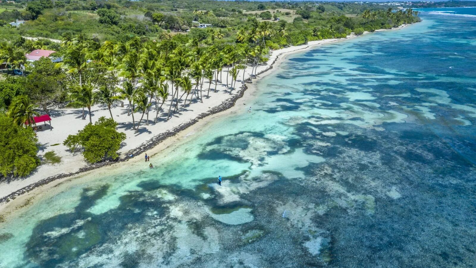 Vue aérienne - Grande-Terre Littoral